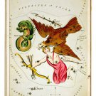 URANIA'S MIRROR Delphinus, Sagitta, Aquila & Antinous 1825 poster 20x30