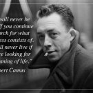 ALBERT CAMUS french writer MOTIVATIONAL & INSPIRATIONAL quote poster 20x30