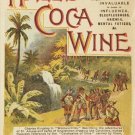HALL'S COCOA WINE vintage ad poster THE GREAT BRAIN & NERVE TONIC 20x30 new