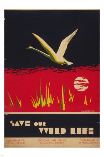 vintage AD poster SAVE OUR WILD LIFE unique COLLECTORS CLASSIC 20x30 new ART