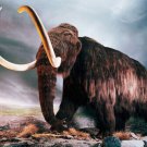 WOOLLY MAMMOTH poster PREHISTORIC GIGANTIC TUSKS shaggy fur HUGE 20x30