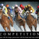 Horse Racing St Moritz Switzerland MOTIVATIONAL POSTER 20x30 COMPETITION