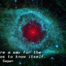 iron outer space CARL SAGAN INSPIRATIONAL quote poster 20x30 truth WISDOM