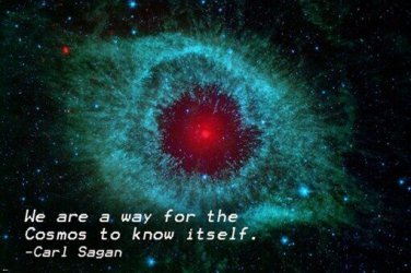 iron outer space CARL SAGAN INSPIRATIONAL quote poster 20x30 truth WISDOM