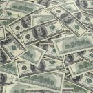 $100 DOLLAR background KITSCHY art poster 20x30 rich MONEY wealth benjamins