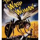 The Wasp Woman MOVIE POSTER Susan Cabot 1959 20x30 VINTAGE HORROR