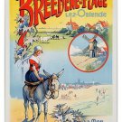 BREEDENE sea beach DONKEY vintage french ad poster UNIQUE graphic 20x30