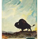 NORTH AMERICA SCANDINAVIAN AIRLINES buffalo VINTAGE travel poster 20x30 rare