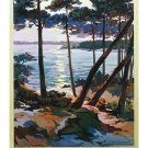 hossegor la cote d'argent VINTAGE FRENCH TRAVEL POSTER lovely coast 20x30 hossegor la cote d'argent VINTAGE FRENCH TRAVEL POSTER lovely coast 20x30