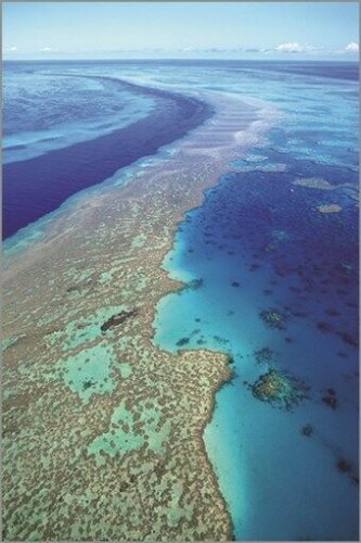 GREAT BARRIER REEF ocean landscape COLORFUL NATURAL one-of-a-kind 20x30 RARE