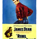 classic REBEL WITHOUT A CAUSE movie poster JAMES DEAN NATALIE WOOD hot 20x30