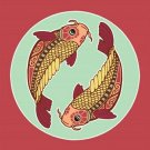 pisces astrology art poster 20x30 SYMBOLIC THE FISHES COLORFUL original new
