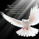 dove in FLIGHT classic spiritual poster EMILY DICKINSON QUOTE symbolic 20x30 dove in FLIGHT classic spiritual poster EMILY DICKINSON QUOTE symbolic 20x30