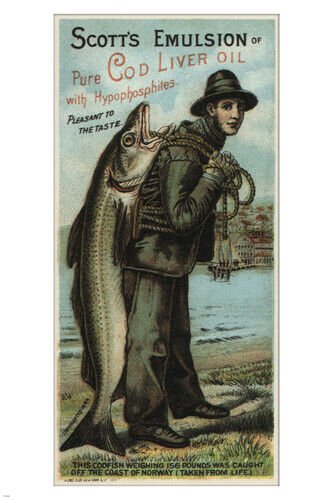 SCOTT'S EMULSION vintage ad poster AUGUST GAST US 1880 20x30 prized UNIQUE