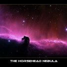 THE HORSEHEAD NEBULA POSTER 20x30 cosmos outer space BEAUTIFUL LIGHT RARE THE HORSEHEAD NEBULA POSTER 20x30 cosmos outer space BEAUTIFUL LIGHT RARE