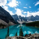 BEAUTIFUL NATURE PIC EMERALD MORAINE LAKE turquoise water pines 20x30