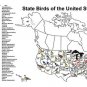 US STATE BIRDS EDUCATIONAL POSTER 20x30 EASY-TO-READ COLORFUL TOP NOTCH