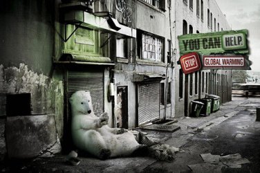STOP GLOBAL WARMING ANIMAL poster POLAR BEAR in city FUNNY thoughtful 20x30