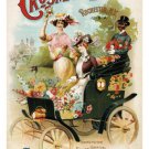 CHOICE Flower Seeds VINTAGE AD POSTER UNITED STATES 1903 20x30 COLLECTORS