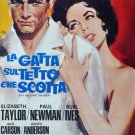 CAT ON A HOT TIN ROOF movie poster LIZ TAYLOR PAUL NEWMAN sexy steamy 20x30
