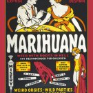 VINTAGE ANTI-MARIJUANA PROPOGANDA poster FUNNY scolding colorful 20x30  -SW0