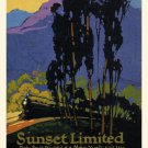 sunset limited VINTAGE TRAIN POSTER S. Harris 1924 20x30 collectors HOT NEW