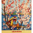 CACHEMIRA INDIA vintage travel poster CHERRY BLOSSOM FLOWERS boat 20x30 NEW