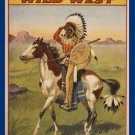 ORIGINAL BUFFALO BILL'S WILD WEST INDIAN CHIEF POSTER headdress horse 20x30