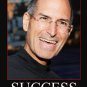 STEVE JOBS MOTIVATIONAL POSTER 20x30 success & perseverance quote NEW!