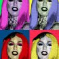 celebrity singer LADY GAGA multiple image POP ART POSTER colorful 20x30 hot