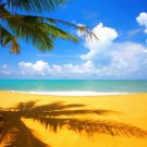 PALM TREE AND SHADOW poster BLUE SKY CLOUDS turquoise sea golden sand 20x30 PALM TREE AND SHADOW poster BLUE SKY CLOUDS turquoise sea golden sand 20x30