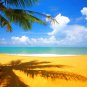 PALM TREE AND SHADOW poster BLUE SKY CLOUDS turquoise sea golden sand 20x30
