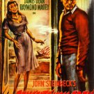 STEINBECK'S east of EDEN movie poster JAMES DEAN JULIE HARRIS sexy 20x30