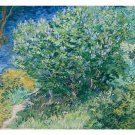 lilac bush VINCENT VAN GOGH fine art poster 20x30 POST-IMPRESSIONIST vibrant