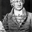 johann wolfgang von goethe GERMAN WRITER inspiring QUOTE POSTER 20x30 hot