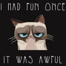 I had FUN once it was AWFUL CAT poster 20x30 HILARIOUS expression TOP notch