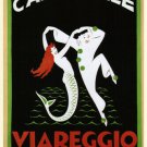 VIAREGGIO CARNIVAL Vintage ad Poster R MICHAELLES Italy 1927 20x30 UNIQUE