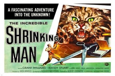 the INCREDIBLE shrinking MAN movie POSTER guy  vs. cat SUSPENSE hot 20x30