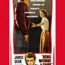 JAMES DEAN REBEL WITHOUT A CAUSE movie poster JUVENILE VIOLENCE 20x30
