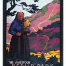 REBILD NATIONAL PARK DENMARK vintage travel poster COLORFUL historic 20x30