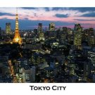 TOKYO cityscape POSTER 20x30 illuminated VIOLET-PINK sky rare AWESOME new!