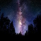 THE MILKY WAY outer space poster BEAUTIFUL COLORS LIGHT STARS trees 20x30-YY1 THE MILKY WAY outer space poster BEAUTIFUL COLORS LIGHT STARS trees 20x30-YY1