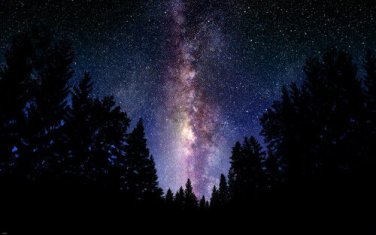 THE MILKY WAY outer space poster BEAUTIFUL COLORS LIGHT STARS trees 20x30-YY1