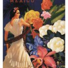VERA CRUZ MEXICO travel poster 20x30 DANCER exotic flowers LATIN CULTURE