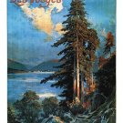 les vosges france VINTAGE TRAIN TRAVEL POSTER beautiful wild RARE 20x30 new