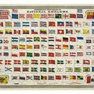 JOHNSON'S NEW CHART OF NATIONAL EMBLEMS vintage poster 1868 20x30 rare!