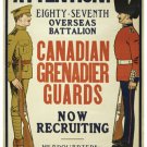CANADIAN GRENADIER GUARDS Now Recruiting VINTAGE WAR Military Poster 20x30