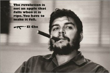 ernesto guevara quote poster THE REVOLUTION IS NOT AN APPLE THAT FALLS 20x30