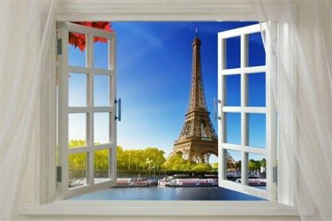 SCENIC POSTER WINDOW ONTO PARIS 20x30 eiffel tower river boats unique view