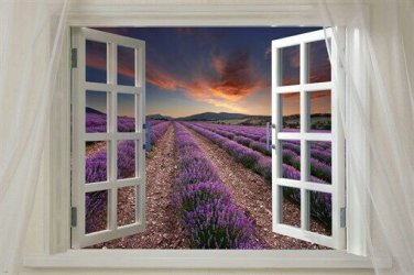 Window onto LAVENDER FIELD scenic poster 20x30 beautiful purple flowers